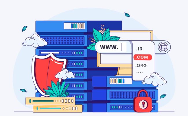 فرق هاست و دامنه