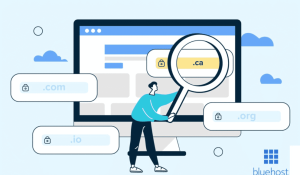 تاریخچه دامنه کانادا